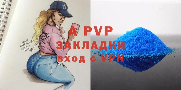 индика Абаза