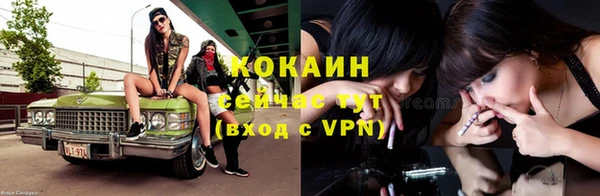 индика Абаза
