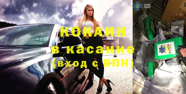 индика Абаза