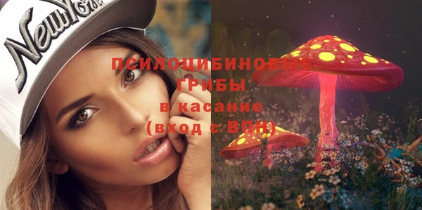 гидра Переславль-Залесский