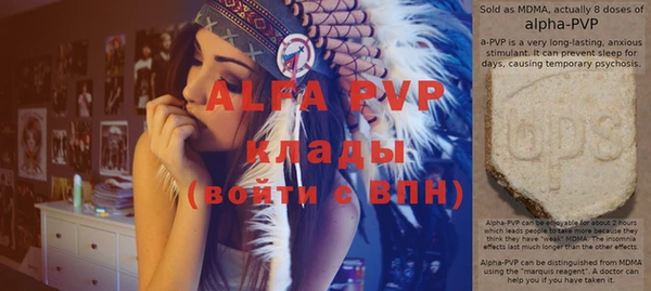 индика Абаза